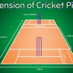 dimension of cricket pitch