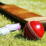 IPL Cricket Betting App Overview
