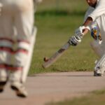 Playing Cricket