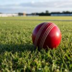 What Happens to a Bowling Attack When the Death Overs Begin