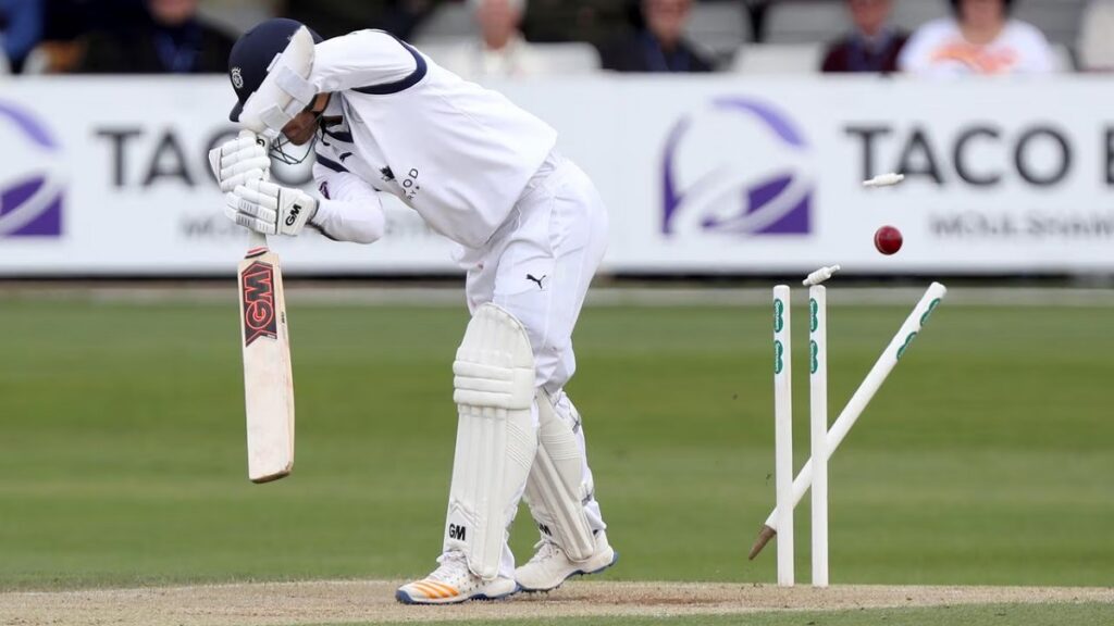 Wickets in Cricket