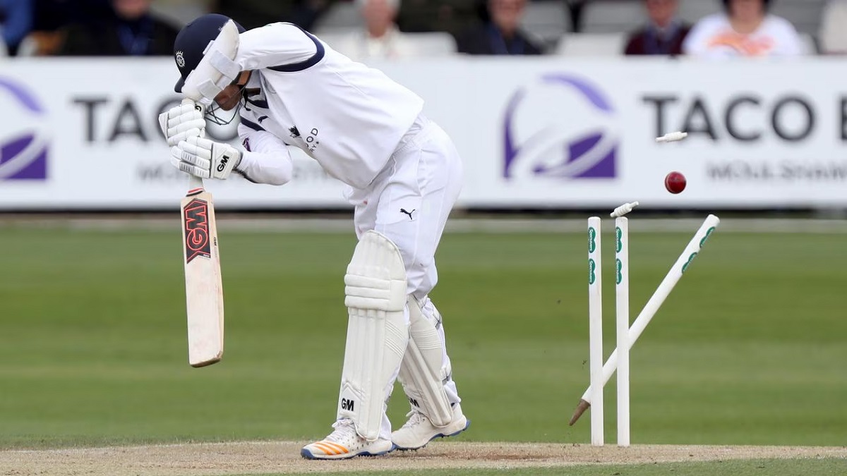 Wickets in Cricket