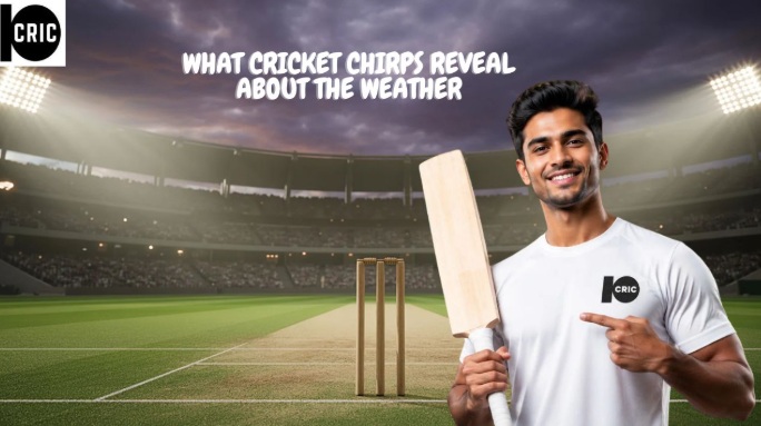 What cricket chirps reveal about the weather