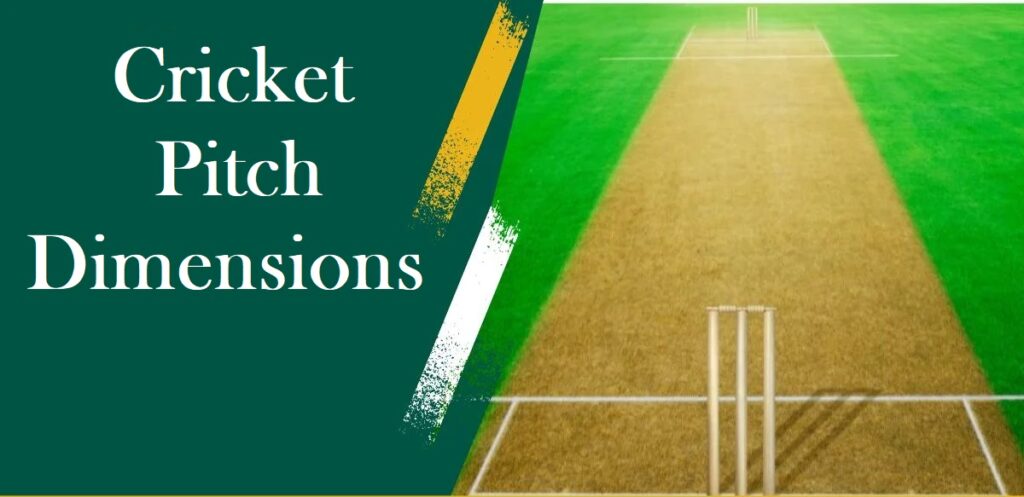 Cricket pitch Dimensions
